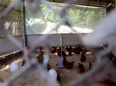 โครงการประชุมเชิงปฏิบัติการขับเคลื่อนสหกรณ์นักเรียนในโรงเรียนตามพระราชดำริ สมเด็จพระกนิษฐาธิราชเจ้า กรมสมเด็จพระเทพรัตนราชสุดา ฯ สยามบรมราชกุมารี ... พารามิเตอร์รูปภาพ 19